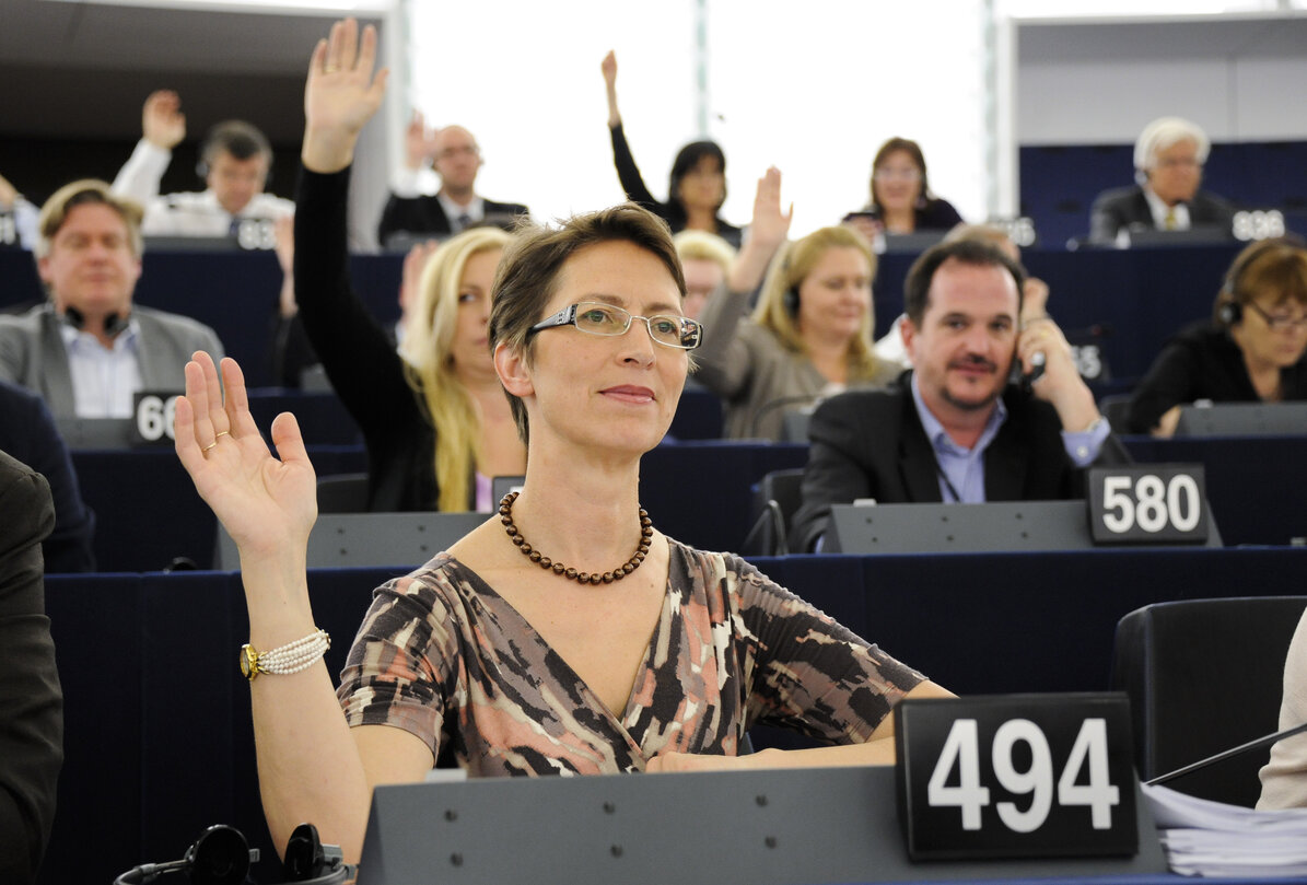 MEP Sari ESSAYAH votes in plenary session