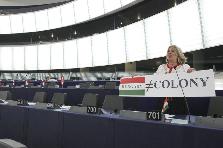 Снимка 4: Krisztina MORVAI in plenary session in Strasbourg