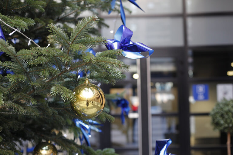 Christmas Tree in the LOW courtyard in Strasbourg