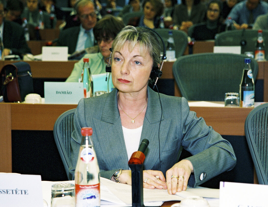 The MEP Francoise GROSSETETE during a session about packaging (recycling and reuse) at the European Parliament of Brussels on the  24th of February 1999.