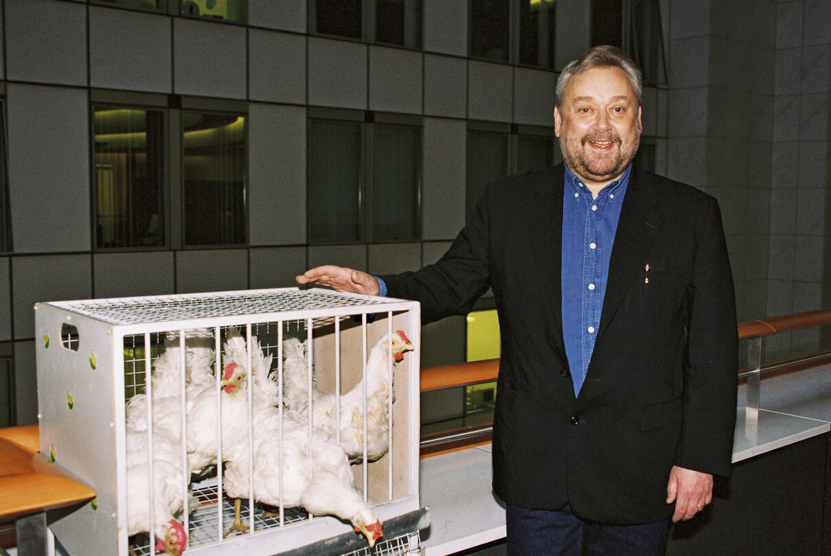 Action of MEP John IVERSEN to raise awareness on chicken transport