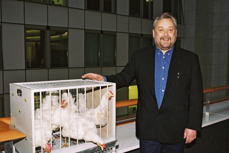 Foto 1: Action of MEP John IVERSEN to raise awareness on chicken transport