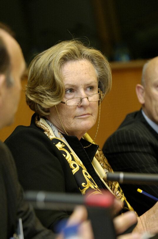 Avril DOYLE in a meeting at the EP in Brussels.