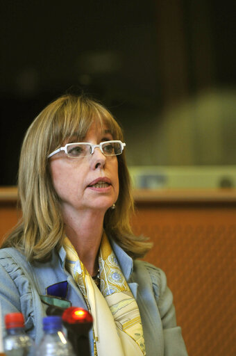 Fotó 1: MEP Carmen FRAGA ESTEVEZ in a meeting at the EP in Brussels