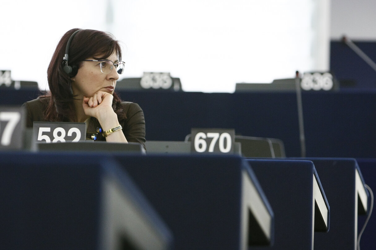 Plenary Session in Strasbourg - Week 21 - 2012