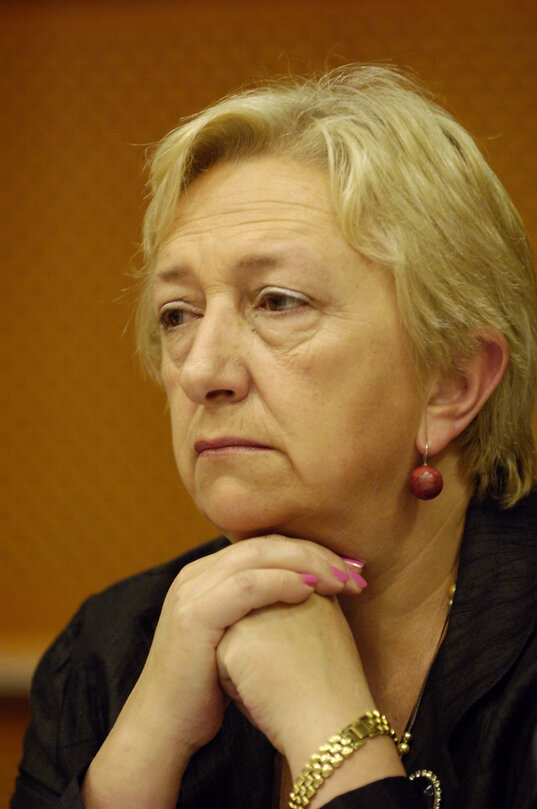 Rosa MIGUELEZ RAMOS in a meeting at the EP in Brussels.