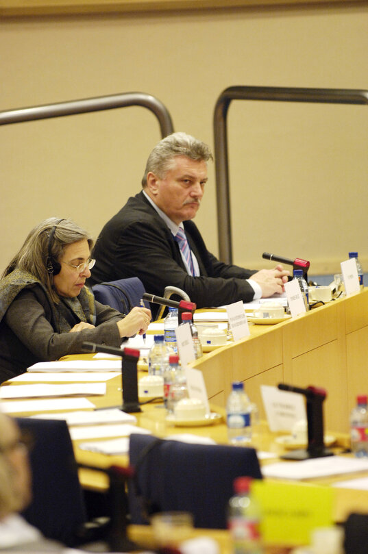 Nicolae Vlad POPA MEP in a meeting at the EP in Brussels.