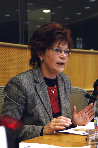 Photo 1: Gisela KALLENBACH in a meeting at the EP in Brussels.