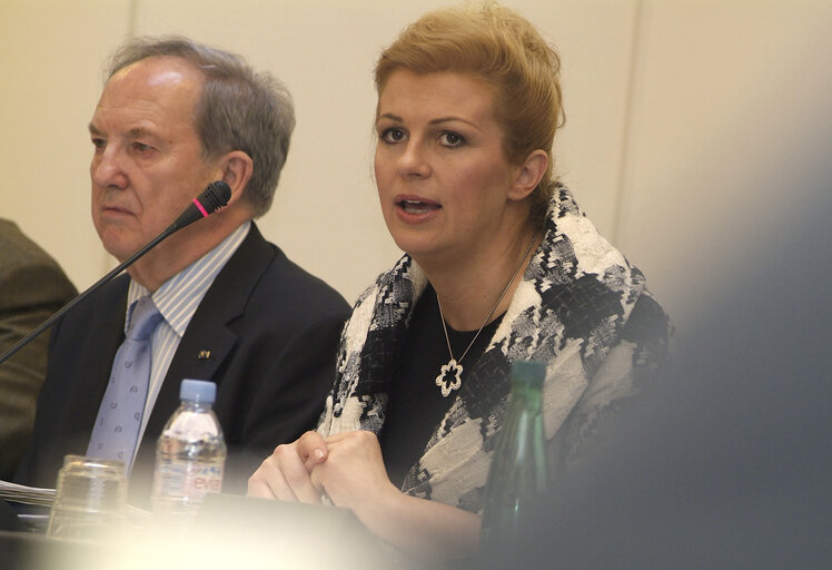 Foto 3: AFET Committee - Discussion with H.E. Kolinda GRABAR-KITAROVIC, Minister of Foreign Affairs and European Integration of the Republic of Croatia, in Strasbourg