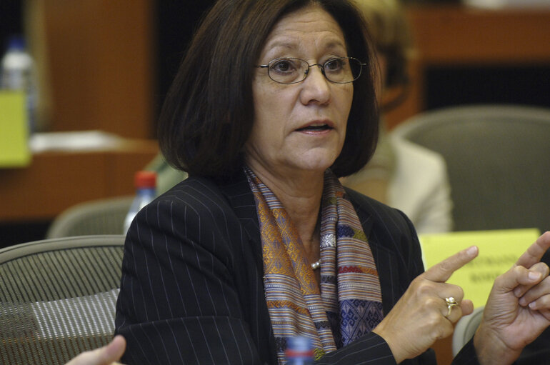 Fotografija 4: Ewa KLAMT in a meeting at the EP in Brussels.