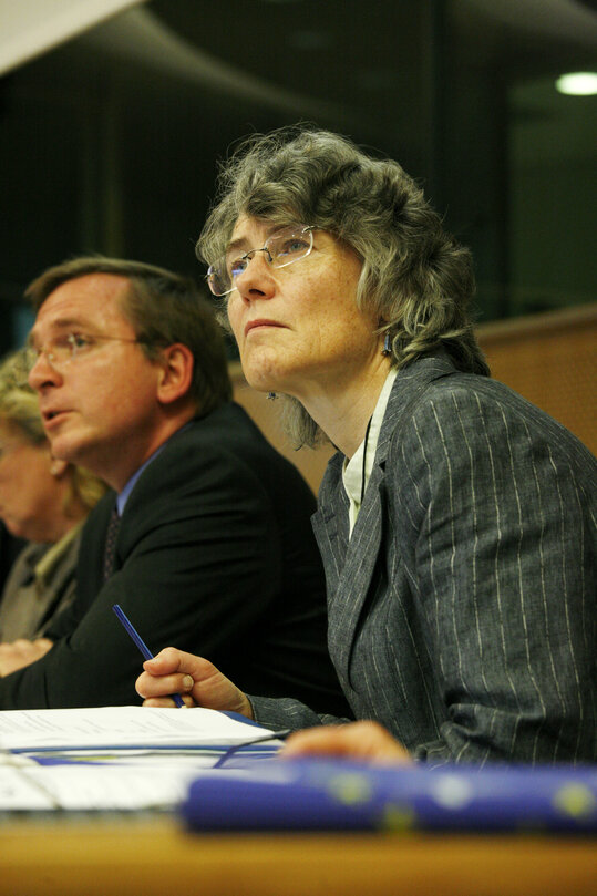 MEP Fiona HALL attends a meeting in Brussels