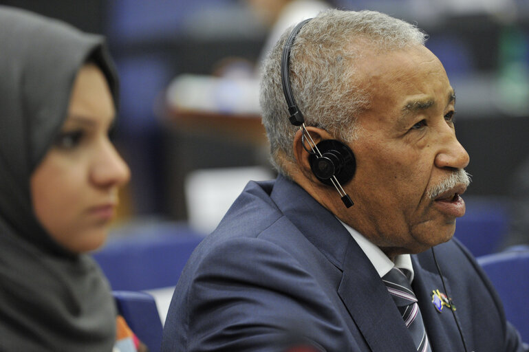 Fotografie 5: Joint meeting with the Committee on Foreign Affairs, the Committee on Development and the Subcommittee on Human Rights with Sakharov laureates