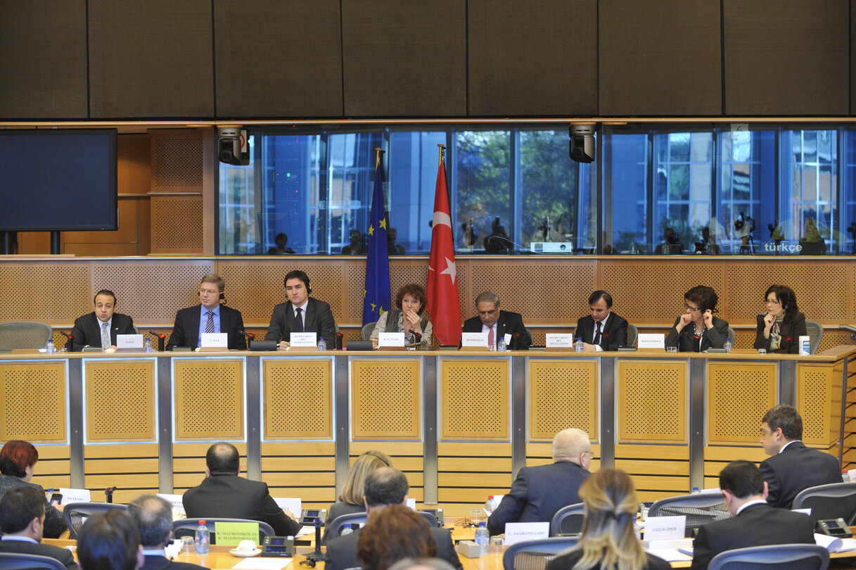 Eu-Turkey Joint parliamentary committee