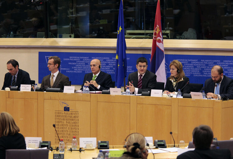 Photo 2 : Committee on Foreign Affairs   Discussion with Vuk JEREMIC, Minister of Foreign Affairs of the Republic of Serbia