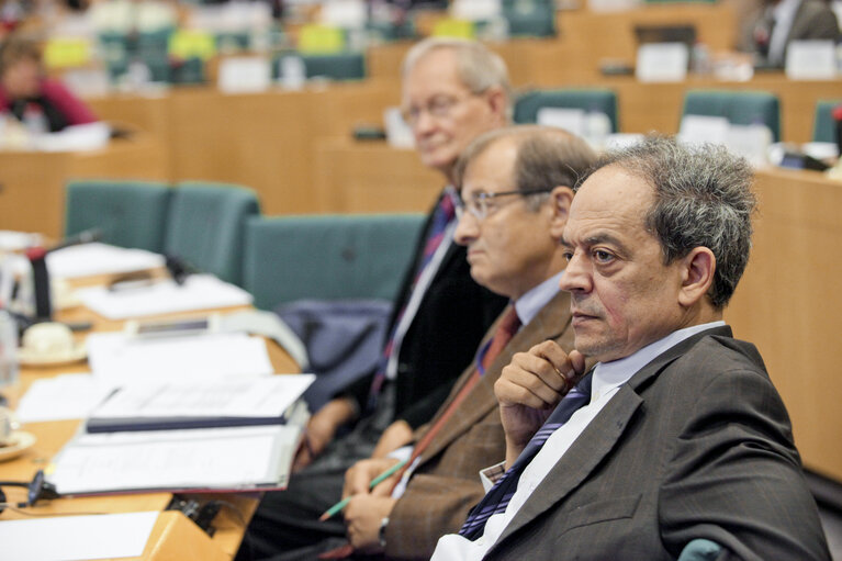 Fotografia 1: SEDE Hearing: Depleted Uranium Ammunition