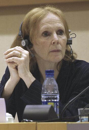 Fotografija 6: Kathy SINNOTT at the EP in Brussels.