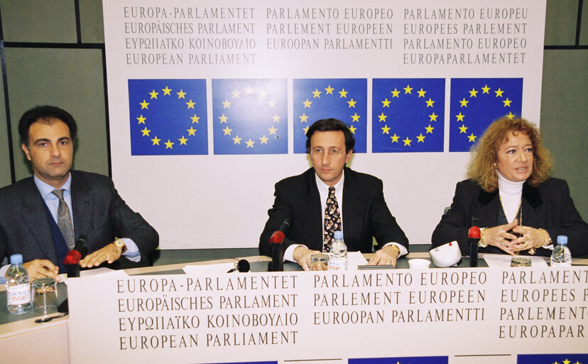 Φωτογραφία 1: Press conference in Strasbourg