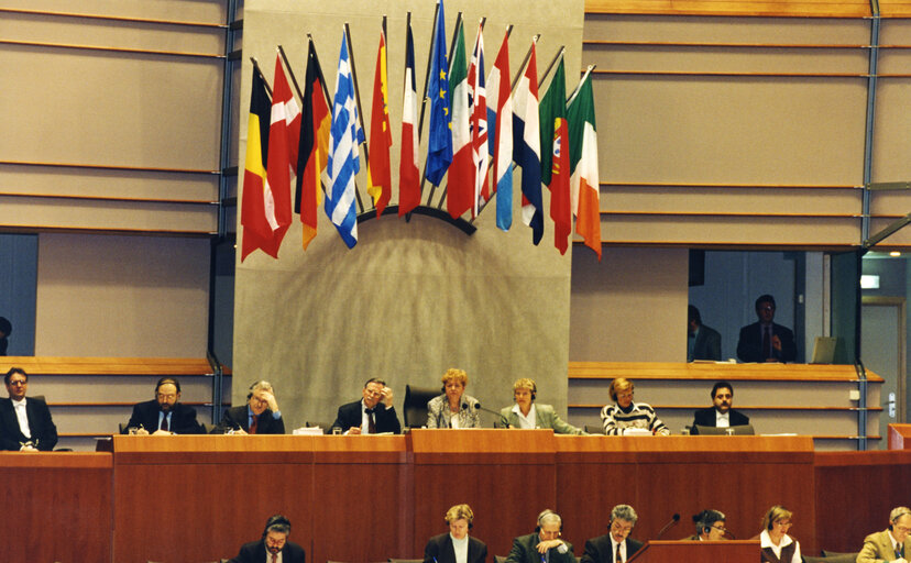 Foto 1: Presidency of the plenary session by Maria MAGNANI NOYA