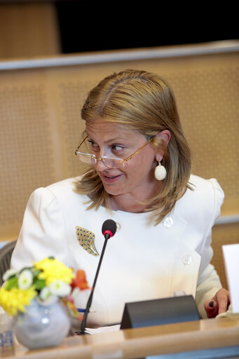 Public Hearinfg S&D group: Wake up Brussels How a million people can change europe