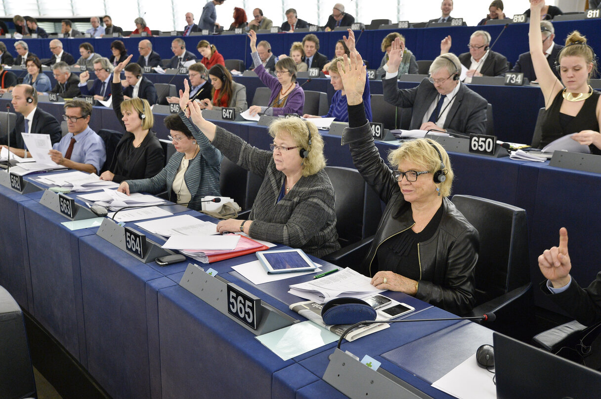 Eva JOLY during the vote in plenary chamber