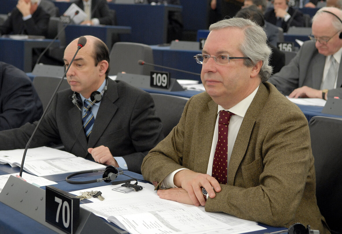 MEP in Plenary Session in Strasbourg