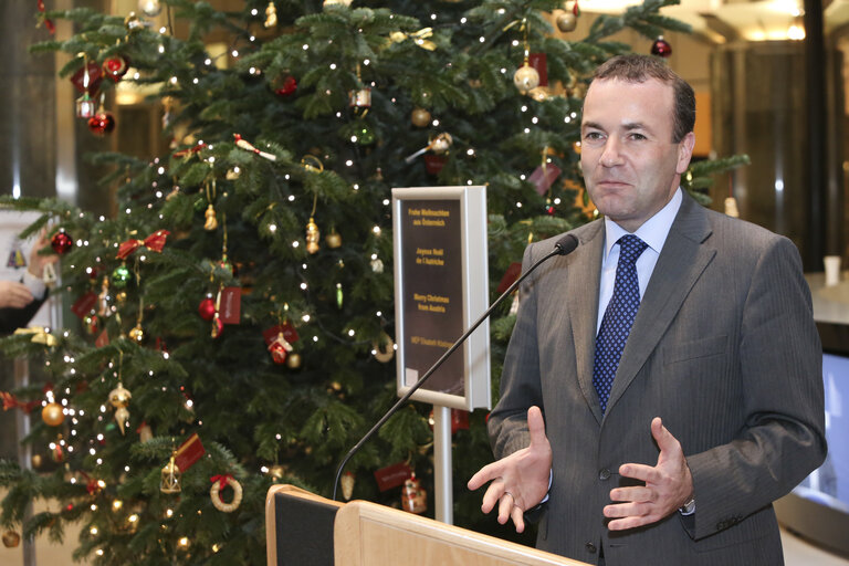 Austria offers a Christmas tree to the European Parliament