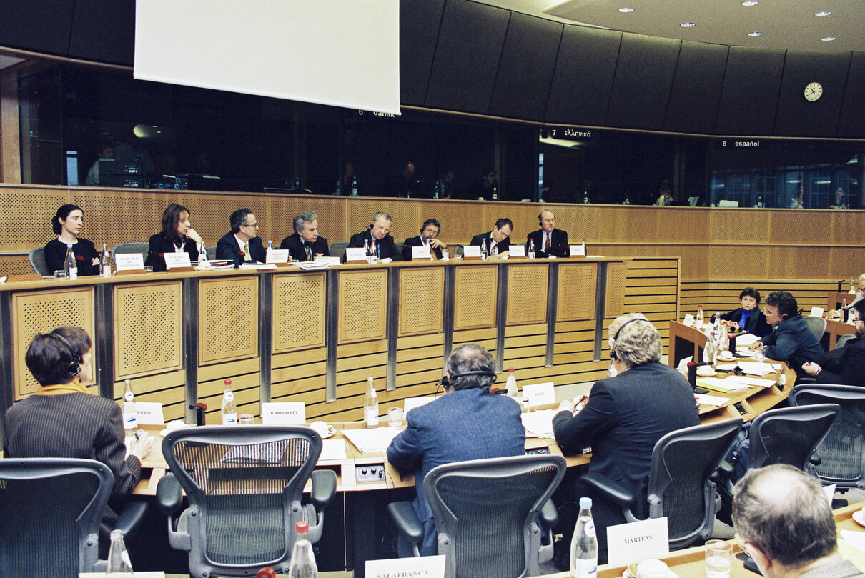 Meeting of the Committee on Institutional Affairs