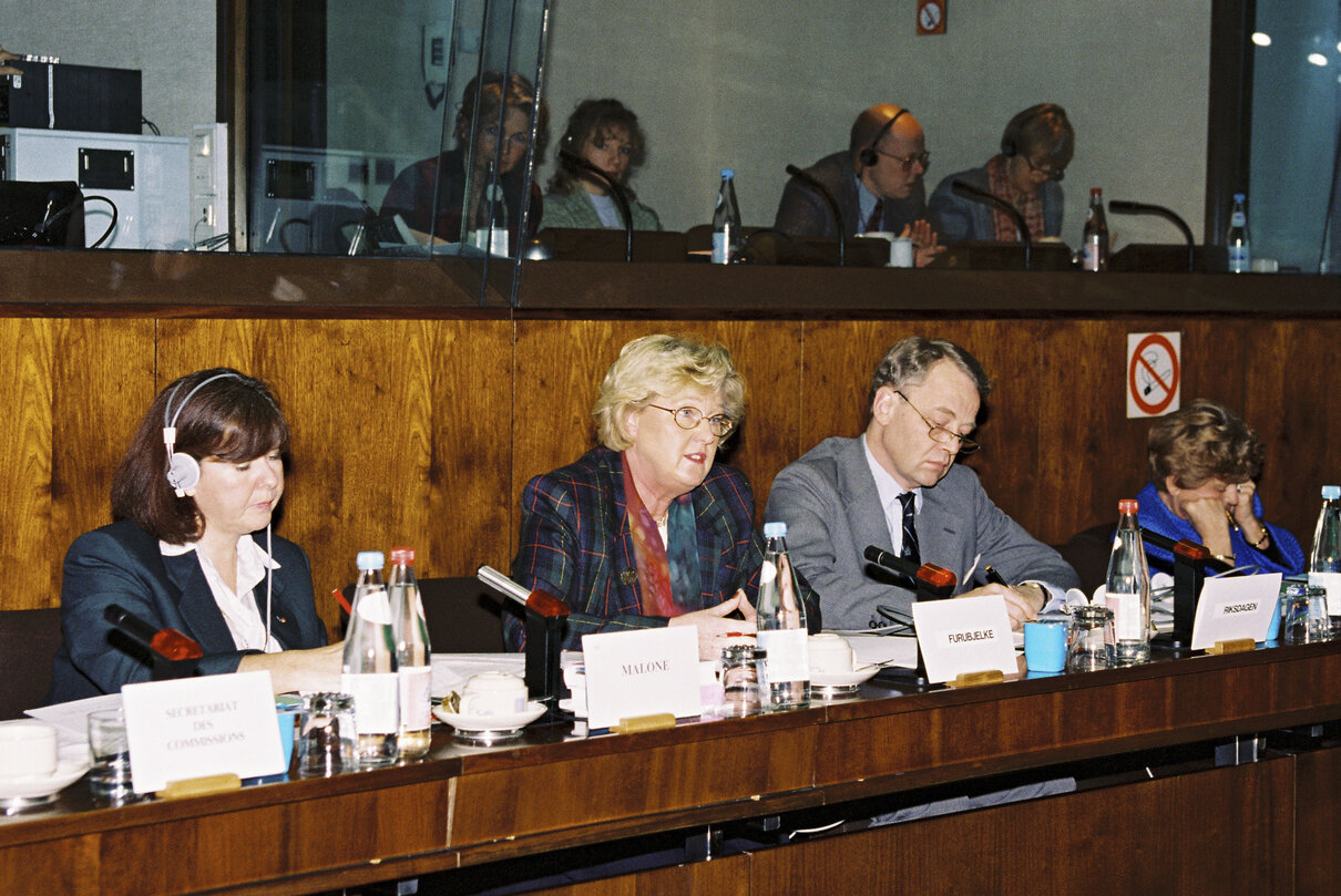 Meeting at the European Parliament in Brussels