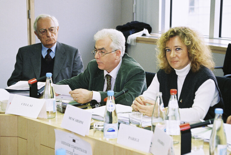 Fotogrāfija 11: Meeting with Italian MEPs - Community's Resources and Regional Policy