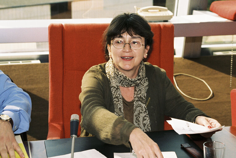 Fotografia 1: The representative Mar??a Izquierdo Rojo Vice President of the Delegation for the relations of the EU with the Maghreb initiated a session at the European Parliament on the Amazigh culture, June 11, 1997 in Strasbourg