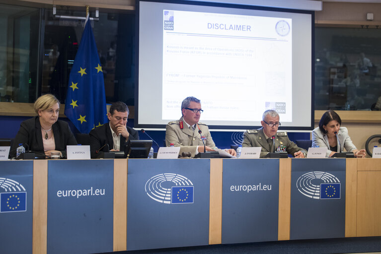 AFET/SEDE Exchange of views on the security situation in the Western Balkans