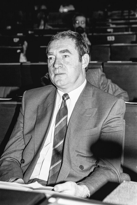 The Irish Minister of State of the Department of Agriculture and Food, in plenary session in Strasbourg - March 1990