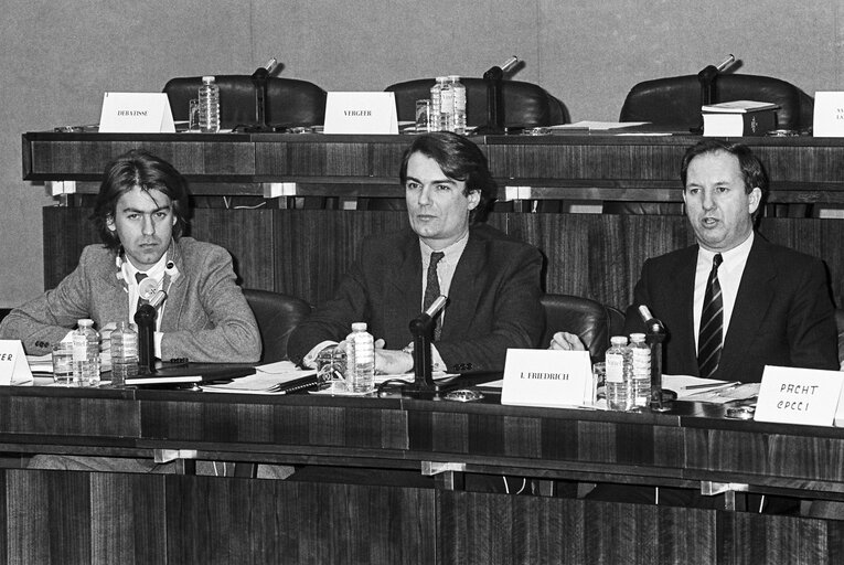 Billede 1: Meeting at the EP in Strasbourg in January 1985