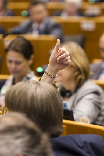 Fotogrāfija 44: Plenary session - Week 17 2017 in BrusselsVOTES followed by explanations of votes