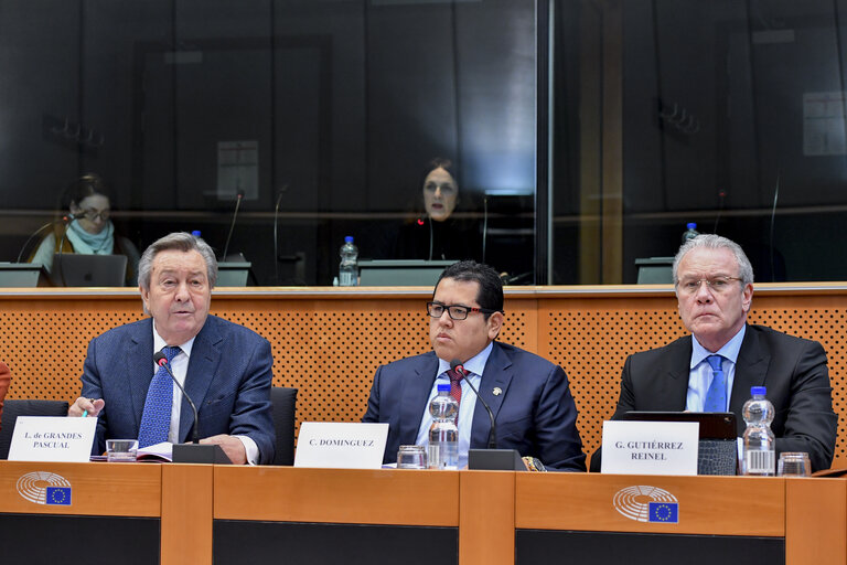 Fotografia 20: Meeting of the EP delegation for relations with Latin America with a delegation of the Congress of Peru