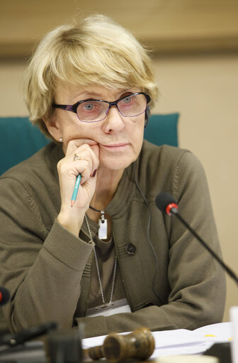 Fotografija 11: REGI - Hearing on Smart Specialisation; Committee debate on cohesion legislation