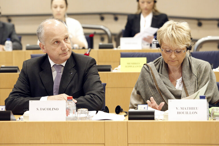 Fotografija 8: Vote of the mid-term report of the CRIM committee