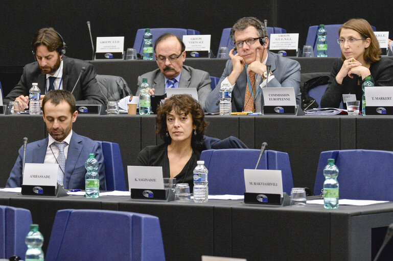 4th EU-Georgia Parliamentary Association Committee (PAC)