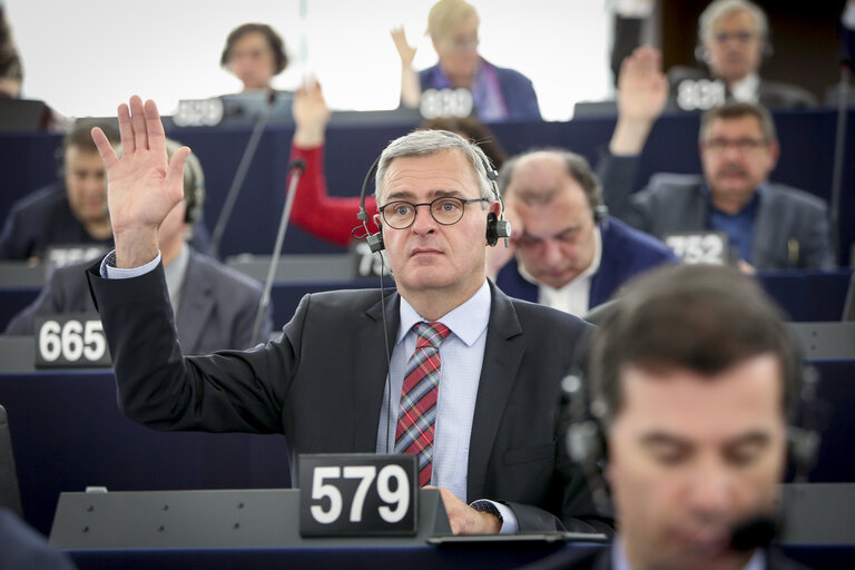 Photo 2: Marc JOULAUD in plenary session Week 20 2017 in Strasbourg