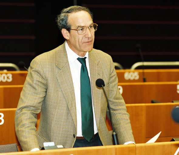 Fotografija 1: Plenary Session in Brussels