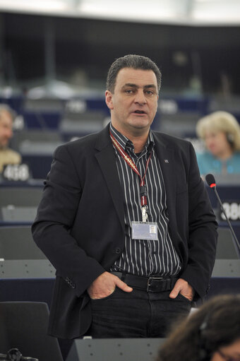 Plenary session week 6 2013 in Strasbourg