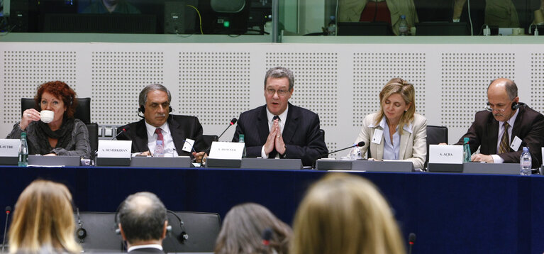 Fotografi 1: EU-Turkey joint parliamentary committee - Briefing and exchange of views with the UN special advisor on Cyprus, on the negocations in Cyprus.