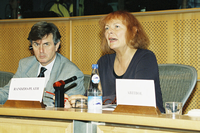 The MEP Christa RANDZIO-PLATH during a meeting in Brussels on October 1999.