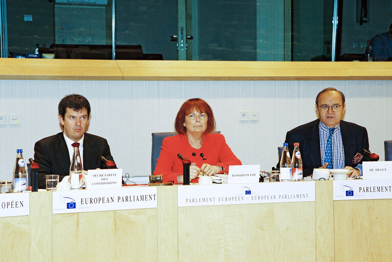 Photo 1 : Meeting of the subcommittee on Monetary Affairs in Brussels