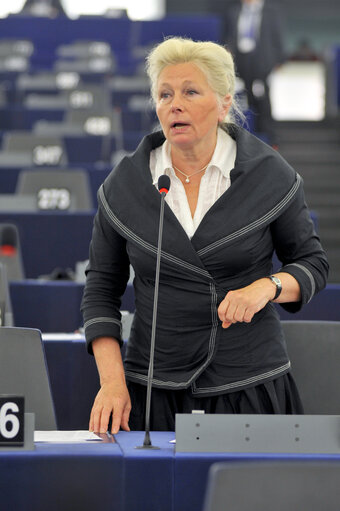 Plenary Session in Strasbourg - Week 21 - 2012