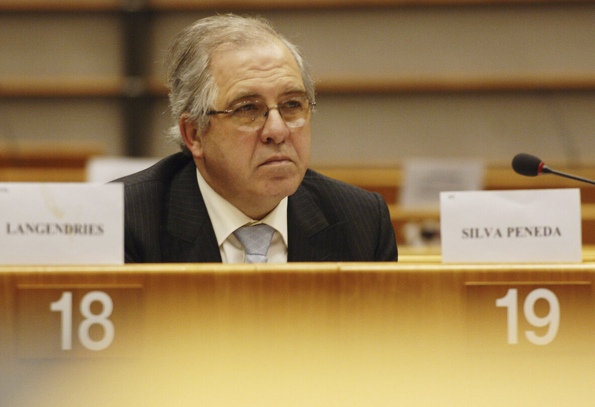 Jose Albino SILVA PENEDA in a meeting at the EP in Brussels.