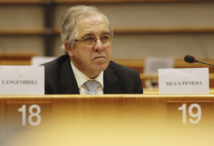 Fotografija 2: Jose Albino SILVA PENEDA in a meeting at the EP in Brussels.