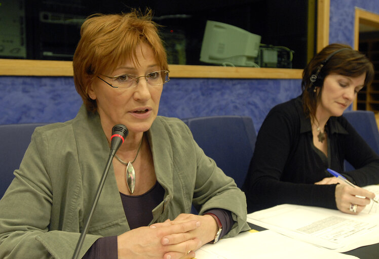 Foto 3: Christa PRETS MEP in a meeting at the EP in Strasbourg.