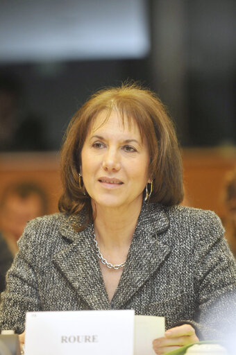 Photo 1: Martine ROURE MEP in a meeting at the EP in Brussels.