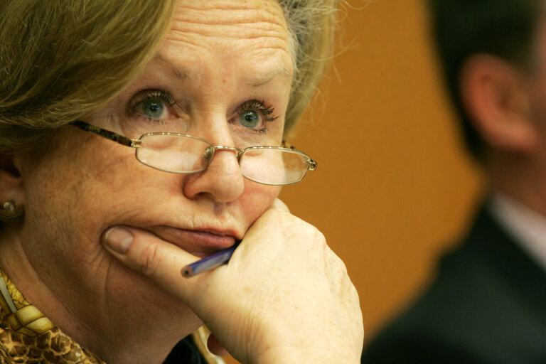 Fotografia 1: Avril DOYLE MEP in a meeting at the EP in Brussels.